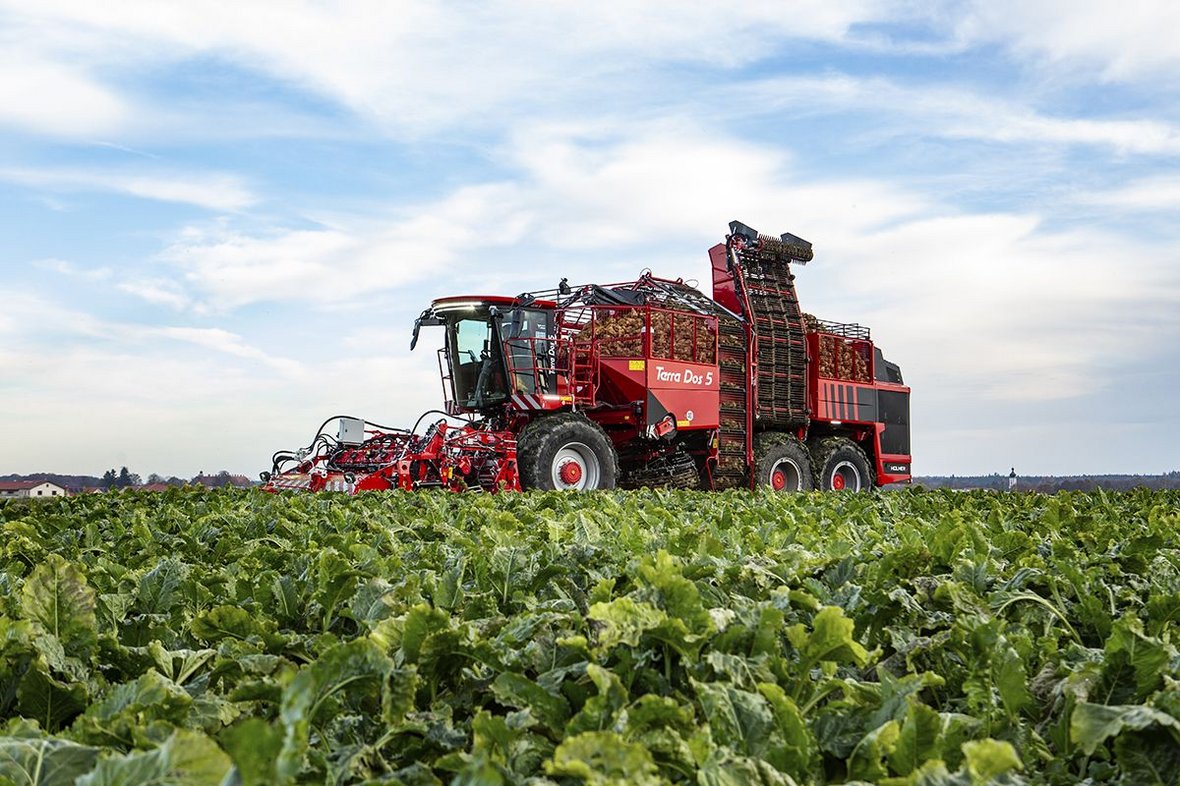 Holmer Terra Dos 5 - nowy kombajn do buraków