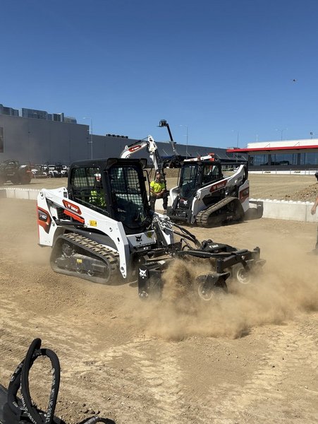 Bobcat