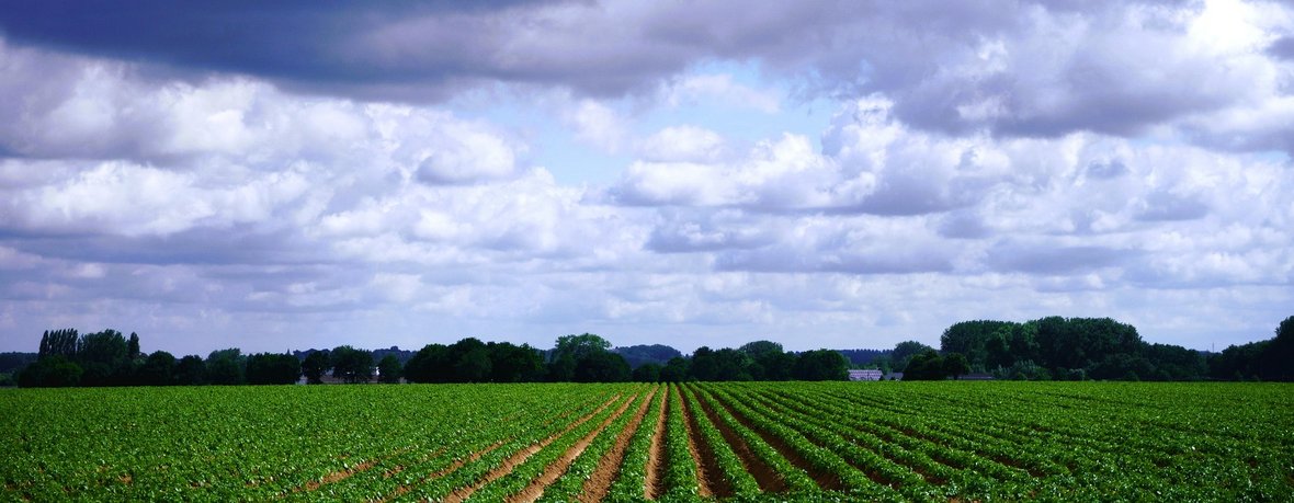 Amazone - wyraźny wzrost mimo trudnego rynku