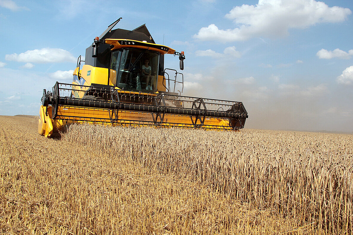 Kombajn New Holland podczas żniw