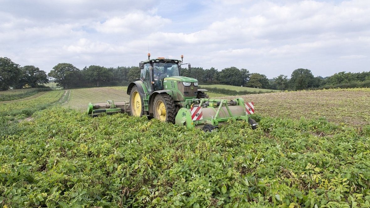 AVR - mechaniczne rozdrabnianie łęcin w uprawie ziemniaków