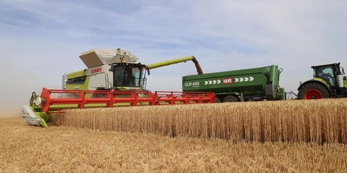lexion 8900