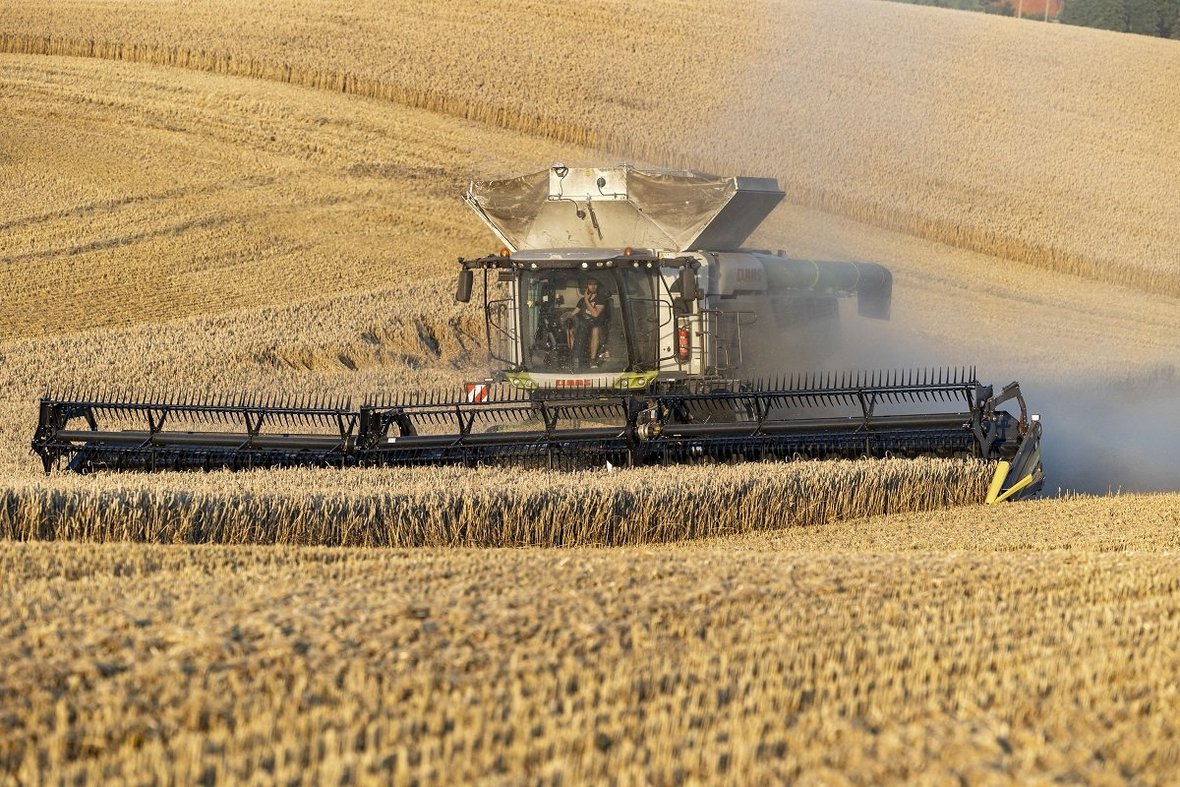 Geringhoff. Od zbioru do analizy danych