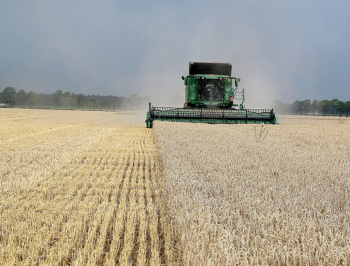 Kombajn John deere T5 podczas żniw