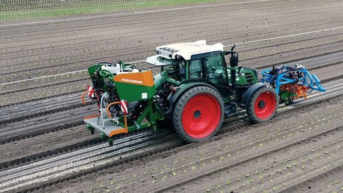 Ochrona roślin. Alternatywa dla środków chemicznych 