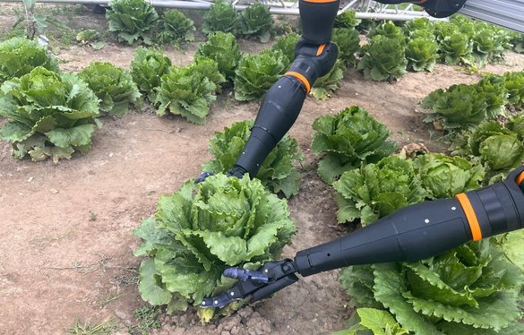 Innowacje jutra. Poznaj laureatów DLG-Agrifuture Concept Winner