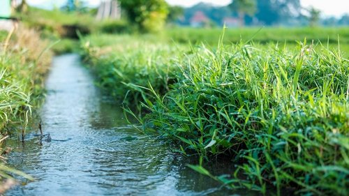 Instytut Uprawy Nawożenia i Gleboznawstwa. Susza rolnicza już za nami