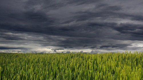 Według CEMA - klimat biznesowy uległ dalszemu pogorszeniu
