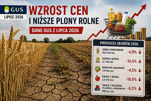 Ceny rosną a GUS prognozuje niższe plony w 2026 roku