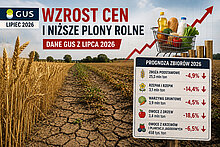 Ceny rosną a GUS prognozuje niższe plony w 2026 roku