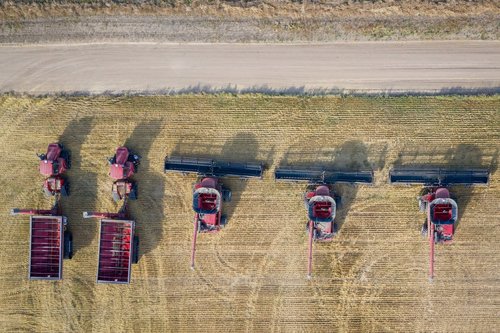Braki kadrowe w rosyjskim rolnictwie – potrzebnych nawet 200 tys. pracowników