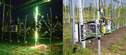 Precyzyjne rolnictwo przyszłości: laserowy skaner 3D dla robotów zbierających