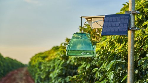 Monitoring owadów z firmą Metos