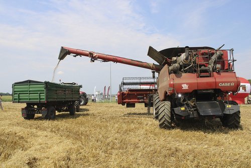 Żniwa z kombajnem Case Axial-Flow 7250