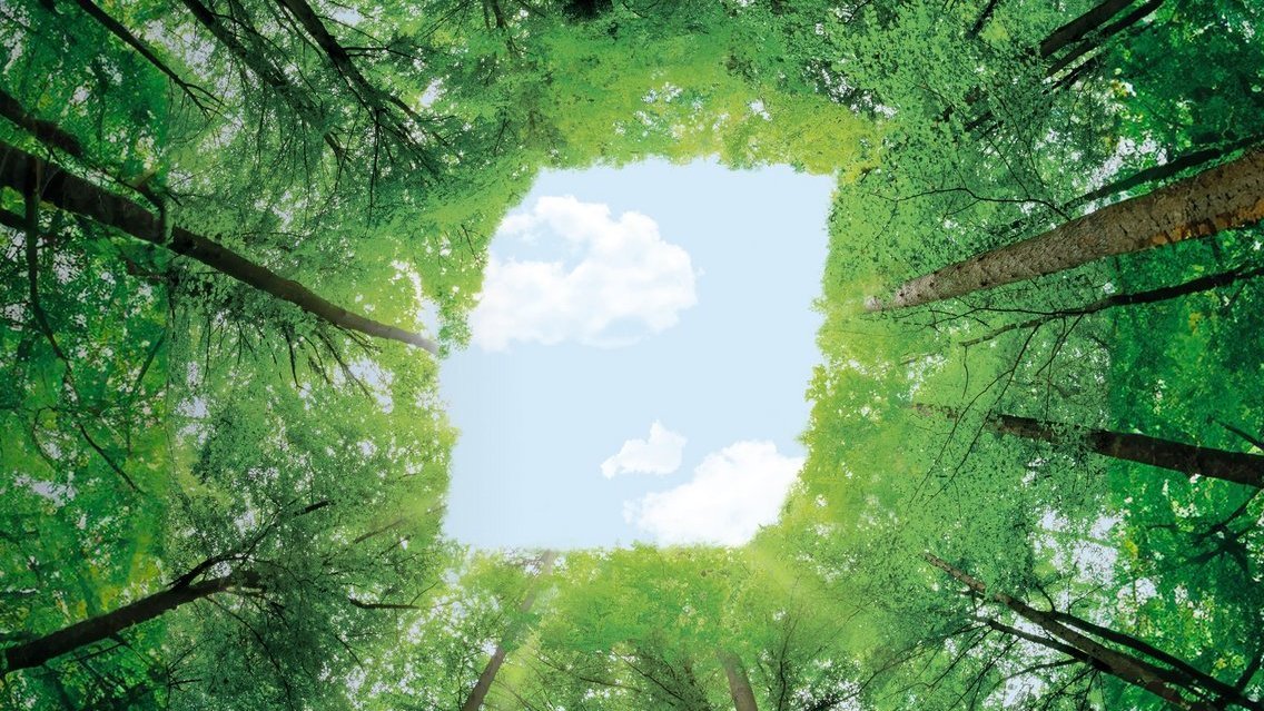 BKT dołącza do Global Platform for Sustainable Natural Rubber 