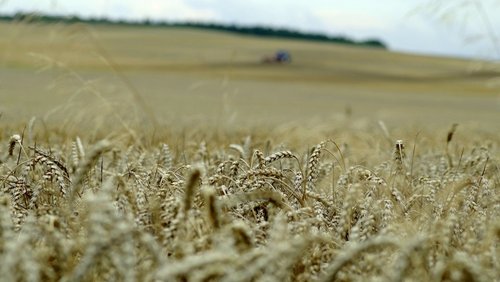 Polska - Ukraina. Zbożowe porozumienie