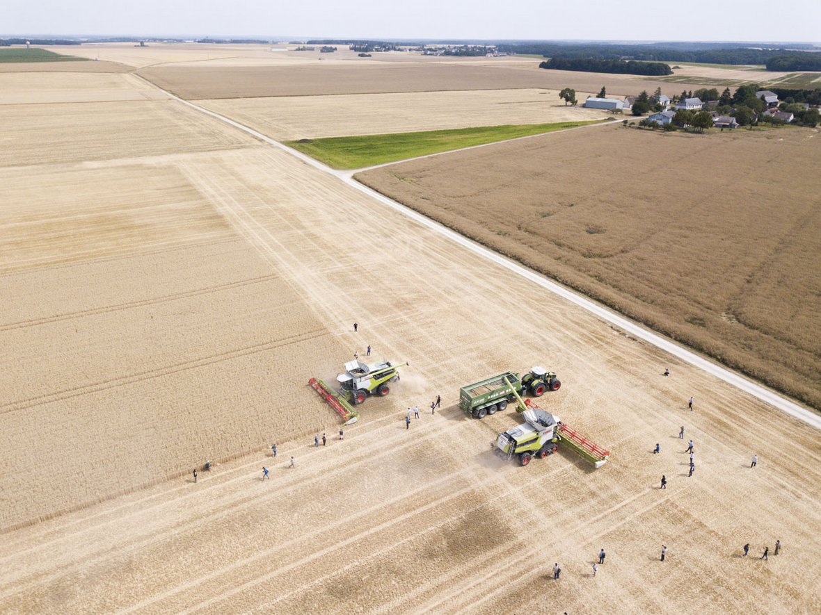 kombajny claas