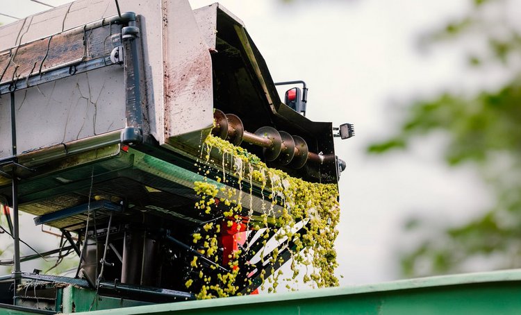 FBZPR - produkcja roślinna pod presją kosztów i niskich cen zbóż