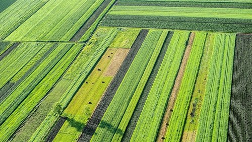 Wszystkie twarze ekoschematów