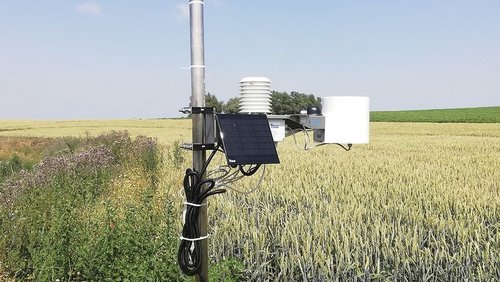 Rozwiązania IoT dla uprawy roślin