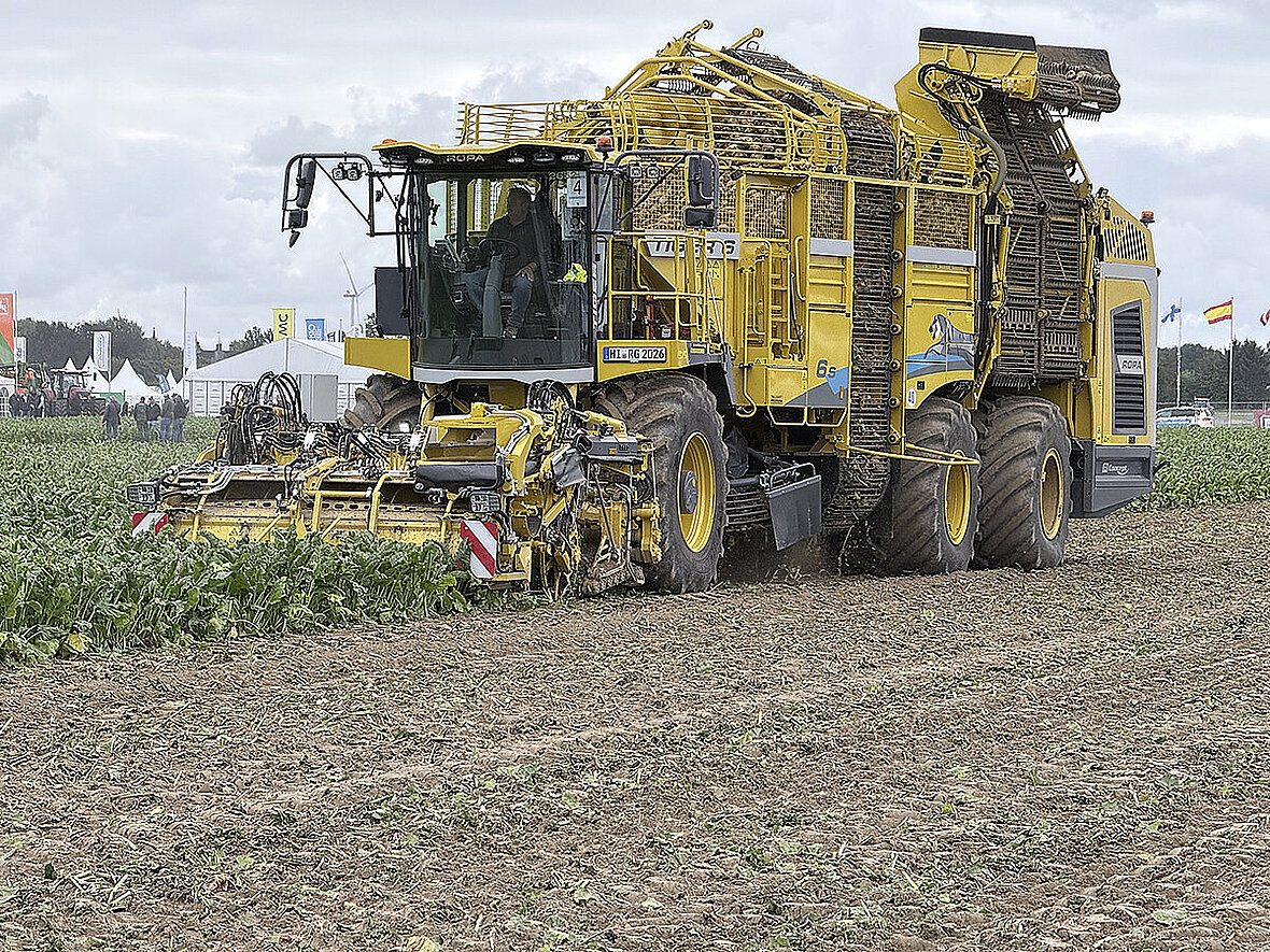 W kombajnie Ropa Tiger 6s automatyczne systemy R-Trim i R-Contour regulują wysokość odliściania oraz głębokość pracy poszczególnych sekcji wyorujących.