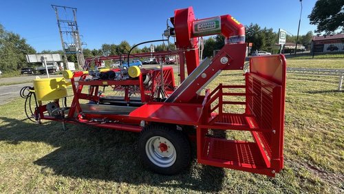 Nowe projekty Sfamasz