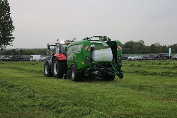 Prasoowijarka McHale Fusion 4