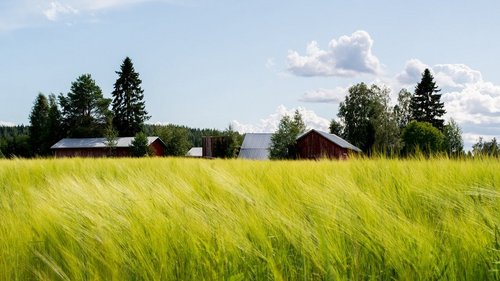 Będą wypłaty środków w ramach Funduszu Ochrony Rolnictwa