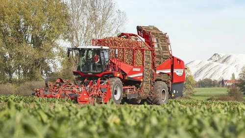 Trendy w technologii zbioru buraków cukrowych 