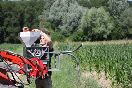 Nowoczesne technologie w walce z omacnicą prosowianką