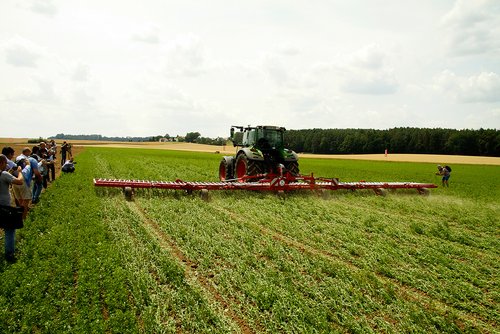 horsch