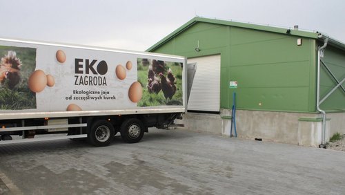 Co dziesiąte jajko w Unii Europejskiej znosi polska kura 