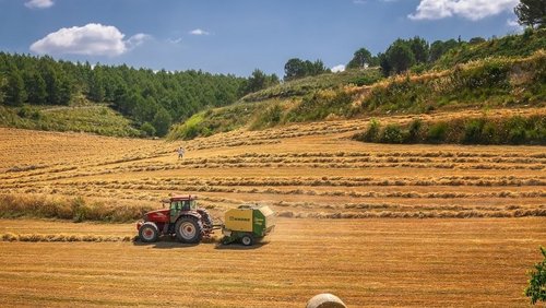 Eurostat. Rolnictwo wciąż dużym pracodawcą