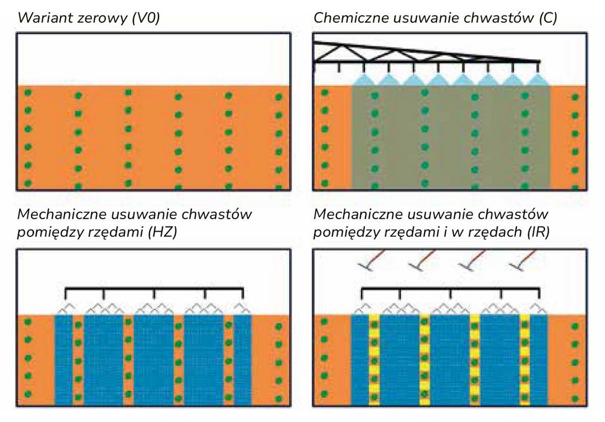 W ramach drugiego pakietu prac zespół projektowy badał sposób działania mechanicznego zwalczania chwastów i porównywał ze sobą różne warianty zwalczania  chwastów.