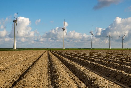 Odnawialne źródła energii w rolnictwie – jak z nich korzystać?
