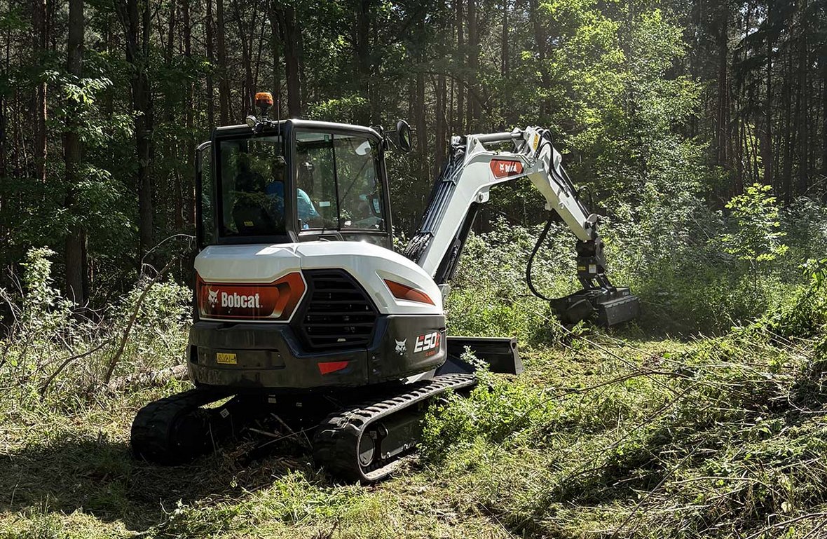 Bobcat