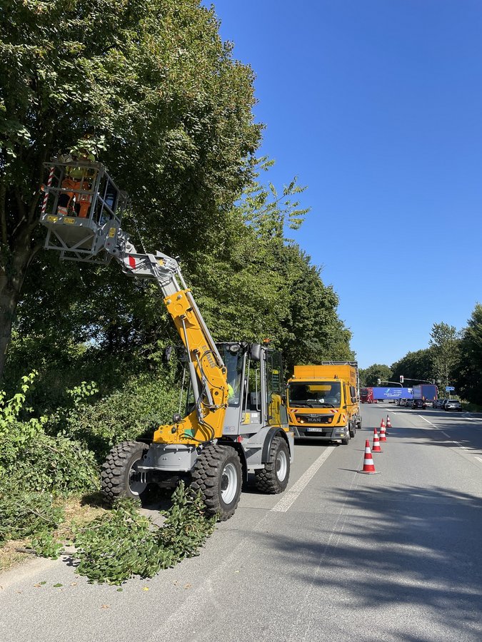 Bezpieczna i wydajna pielęgnacja drzew i żywopłotów