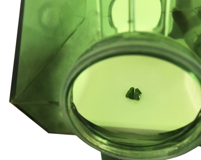 Monitoring owadów z firmą Metos