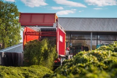Akademia Trawy firmy Agrihandler zakończona. Sprawdź jej efekty
