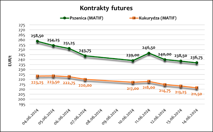 Ceny pszenicy i kukurydzy na giełdzie MATIF