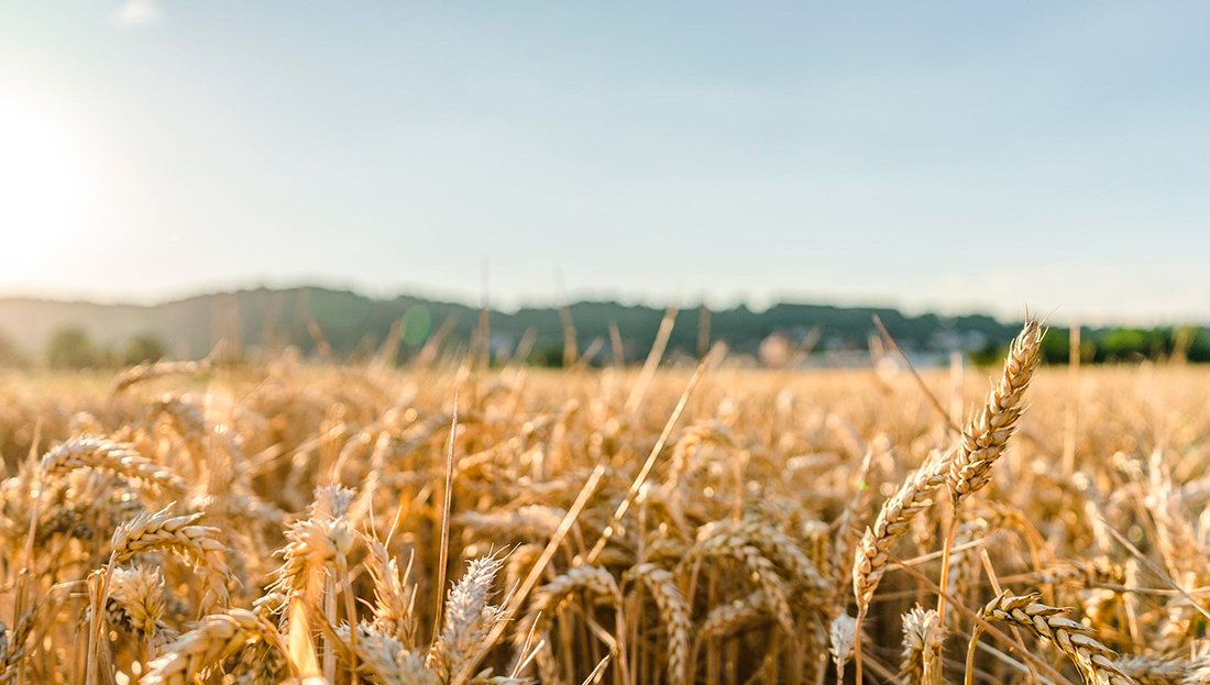 Ministerstwo Rolnictwa - nowe obowiązki dla nabywców nieruchomości na terenach wiejskich 