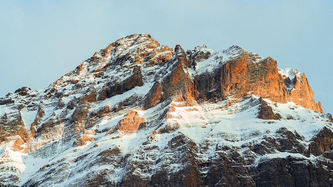 Rynek rolny w Szwajcarii bez zmian – ochrona graniczna zostaje